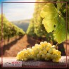 Tour sull'Etna, Enogastronomia e natura